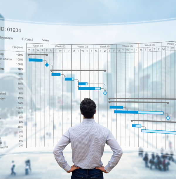 IoT integration in software solutions